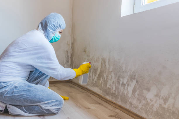 Hvac And Air Duct Mold Remediation inspection of HVAC system in Auburn