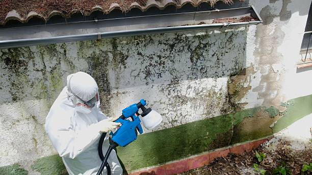 Mold Remediation service in Auburn, Auburn, GA